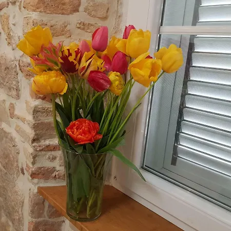 Studio Sunset 아파트