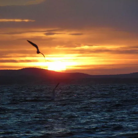 Studio Sunset Zadar