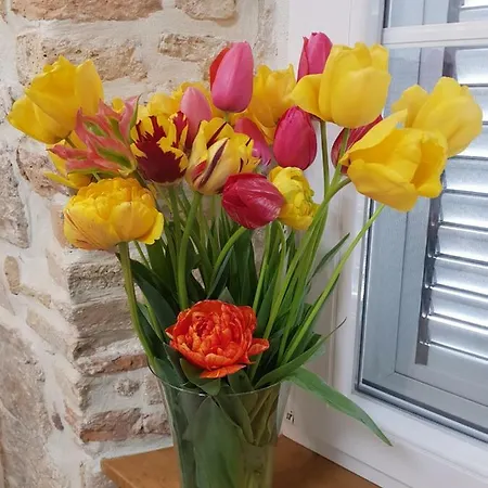 Studio Sunset Apartamento Zadar