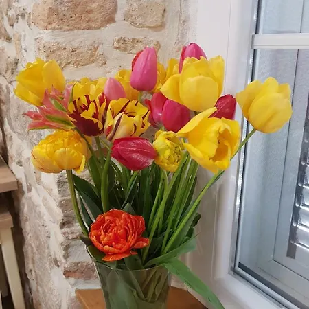 Apartament Studio Sunset Zadar