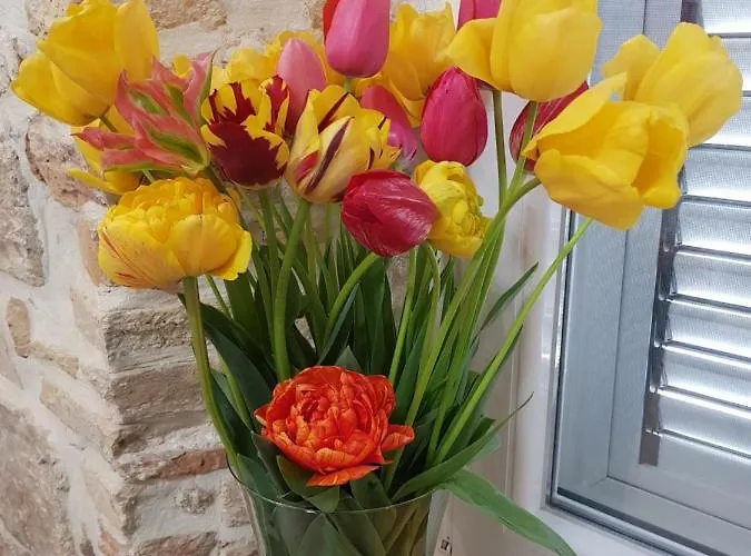 Studio Sunset Apartmán Zadar